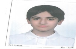 شهریار شیربیگی پور همت آباد