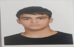 پرهام هدایت