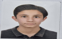 امیر پارسا مهاجر