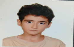امیرعلی میرزایی قلعه نوئی