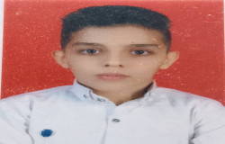 بردیا خزائی