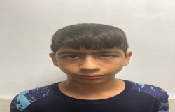 محمدحسن حسنی