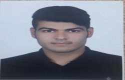 محمدحسین علی ویسی