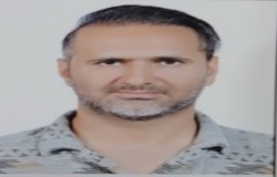 مهرداد رفیعی