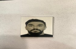 محمدرضا امینی