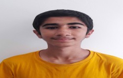 مبین شیخ انصاری