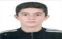 آرتین فتحی