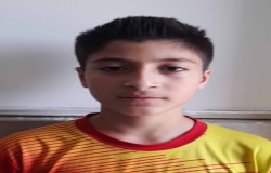 سيد اميررضا نامي