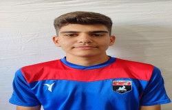 محمد رضا پاشایی