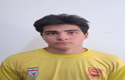 اميرحسين سعادتي بنفشه ورق