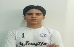 محمد توللی