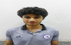 احسان صارمی