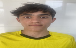 آریان سارمانلو