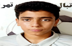 محمدپارسا سعادتی