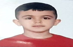 محمد طاها محمدزاده پیرگلینی