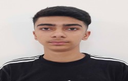 محمد مهدی شرفی