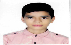 محمدرضا صالحی