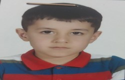 امیررضا احمدی اصل