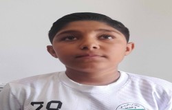 ابوالفضل سبک پاماراللو
