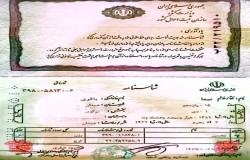 نیما باقری