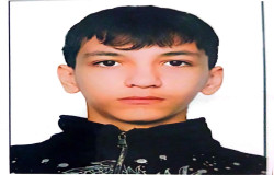 سورنا لطفی قوجه بیگلو