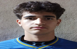 سید اهورا نظری