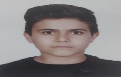 امیر علی مهدوی