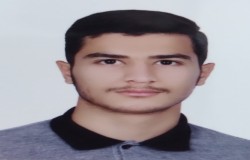 رضا میاحی
