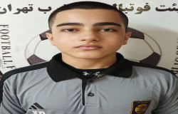 محمدحسین رافعی هروانی