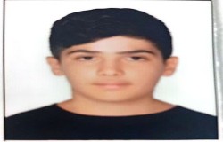 ماهان فریدی