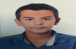 امیر محمد میقانی