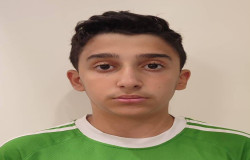 سیدحامد اسلامی