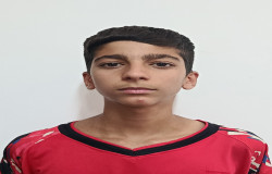 محمد پارسا شمس