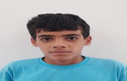 امیرمحمد ولی اللهی