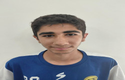 مبین شیخ انصاری