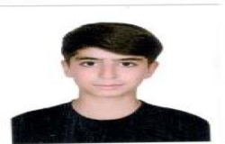آرتا كوشكي