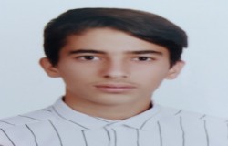 محمد حسن زارعی