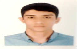 حامد راز گردانی شراهی