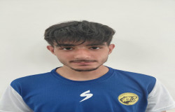محمد آرمین نوائی