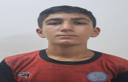 محمد علی بیات