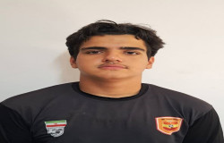 پارسا حبیبی