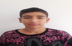 دانیال مقصودی گنجه