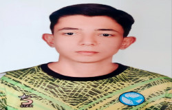 امیر عرشیا ترکمن