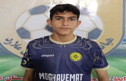 محمد پارسا صانعی