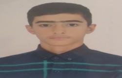 عرشیا لامعی نیارق