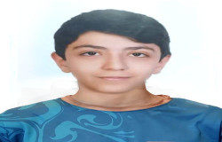 محمدامین میر