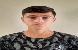 محمدمهدی محبی