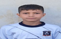 محمدحسین اسکندرلو