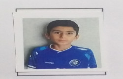 ارسام اکسین