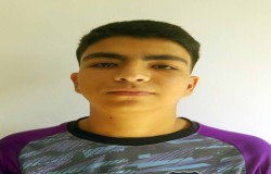 امیر عباس محمودی